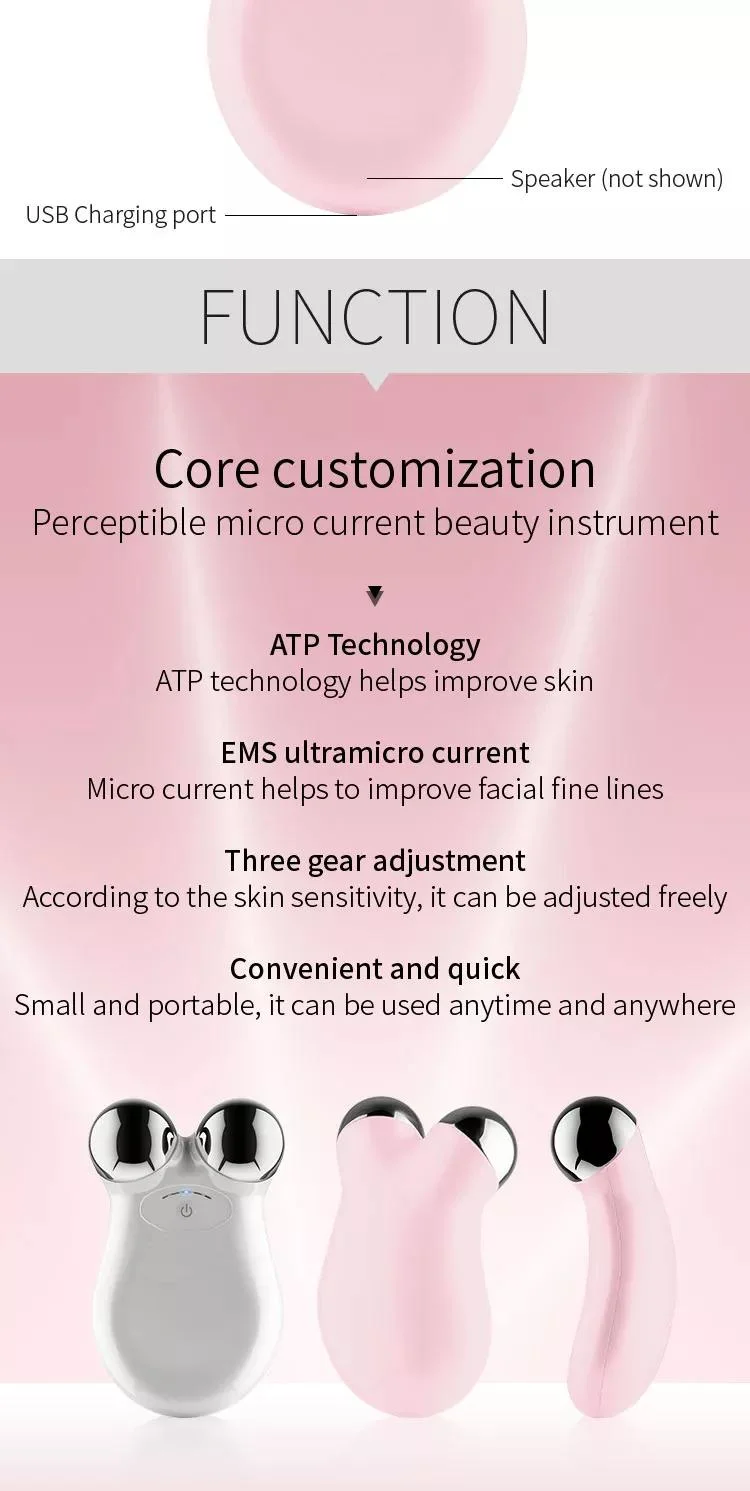 Beauty Equipment Electronic Micro Current Beauty Products Skincare Personal Care EMS